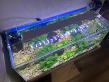 Aquarium LED Light Super Slim Fish Tank Aquatic Plant Grow Lighting Waterproof Bright