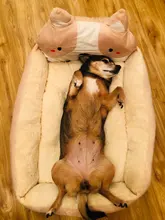 pawstrip Cute Pet Winter Dog Bed Sofa Soft Warm Cat Bed House Cartoon Small Dog Bed Cushion