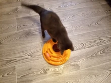 3 Levels Pet Cat Toy Funny Tower Tracks Disc Cat Tracks Toys Training Intelligence Amusement