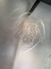 Mechones Rubio perla negra con cierre, cabello humano Remy ondulado malayo, rubio miel, 613 mechones con cierre, 613