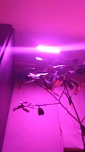 Grow-Light Phyto-Lamp Greenhouse-Vegetable-Seedling-Plant-Lighting USB Full-Spectrum