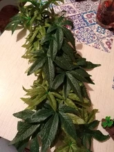 Terrario de seda colgante para Reptiles y anfibios, plantas de escalada de Reptiles falsos, 50cm/16