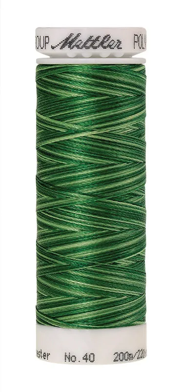 Нить для вышивания мультиколор POLY SHEEN MULTI METTLER, цвет 9932, 200 м