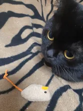 3pcs New Plush Simulation Mouse Cat Toy Plush Mouse Cat Scratch Bite Resistance Interactive