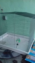 Water-Drinking-Bowl Hamster Pet-Water-Dispenser Rabbit Automatic for Dogs Stainless-Steel
