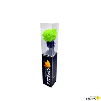 

Mundo eternal Rosa Eterna preserved 35cm Green Electric