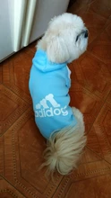 Pet Dog Clothes Fashion Hoodie Spring and Summer For Dogs Coat Jacket Cotton Ropa Perro