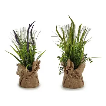 

Decorative Plant Ibergarden (12 x 39 x 12 cm)