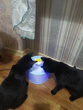 Drinking-Bowl Auto-Feeder Automatic Pet-Products-Supplies Water-Dispenser Water-Fountain