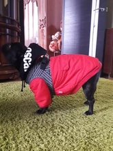 Jacket French Bulldog Dog Winter SUPREPET Coat Pet-Dog Dogs Large Cotton for Warm Perro