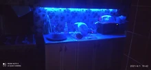 Tape Ribbon Led-Lights Light-2-30m Christmas Rgb Smd5050 Bluetooth Waterproof Flexible