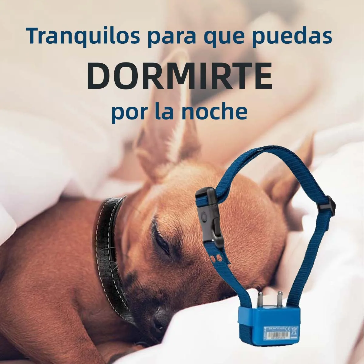 Collar adiestramiento Dog entrenamiento mascotas Collar perro collar electrico antiladrido mascotas perros accesorios perros adiestramiento canino productos más vendidos CANICALM Sistema anti ladrido| | - AliExpress