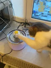 DRINK-FILTER Cat-Feeder Cat-Fountain Pet-Drinking-Water-Dispenser Cats Automatic LED