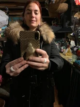 BLUENESSFAIR-abrigo de piel auténtica de zorro para mujer, chaqueta de invierno, Parka larga, Cuello de piel de mapache Natural, ropa de calle cálida