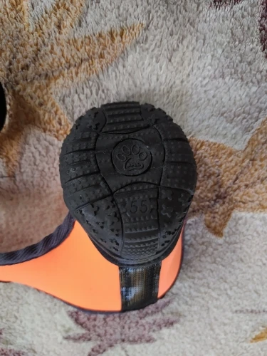DogMEGA Non-slip Dog Shoes | Outdoor Sports Climbing Shoes for Small Medium and Large Dog photo review