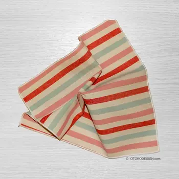 

Shawl in a red striped jacket pocket (50975)