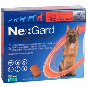 

NEXGARD SPECTRA FROM 30 to 60 KG, ANTIPARASITIC INTERNAL AND EXTERNAL