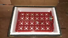 Incubadora automática de 24 huevos de gallina/96 huevos para aves, bandeja giratoria, incubadora de 220V/110V/12V