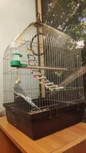 Toys Hamster Rope-Parrot Wood Ladder Pet-Bird Budgie Climb Home Harness Cableway Bites
