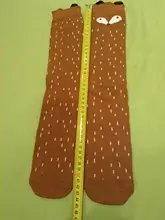 Calcetines de algodón con dibujos animados para niños y niñas, medias largas hasta la rodilla, calentadores de piernas, de 3 a 12 años