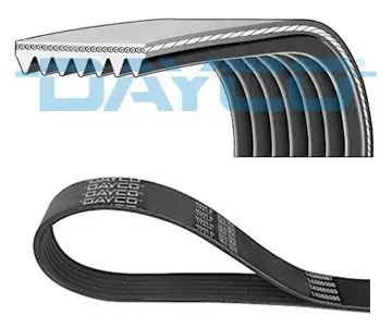 V-ribbed belt Honda CR-V 2.0 16V 02 Lancia Thema 2.8 V6 8 |