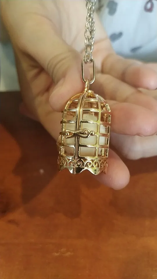 New Aroma Diffuser Necklace Gold vintage bird cage open cage Pendant  Perfume Essential Oil Aromatherapy Locket Pendant Necklace - Price history  & Review | AliExpress Seller - Papa Snap Official Store 