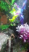 Decor Ornament Decorations-Plants Aquatic-Accessories Grass Aquarium Fish-Tank Plastic
