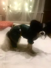 Ropas impermeables para perro para perros pequeños para abrigos lluvia chaqueta chubasquero de cachorro ropa para Chihuahua y Yorkshire productos para mascotas 30S2