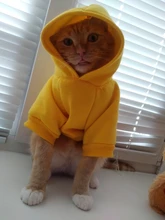 Seguridad ropa para gato mascotas abrigos para gato chaqueta sudaderas con capucha para los gatos traje cálido ropa para mascotas ropa de conejo Animales Mascotas traje para perros 30