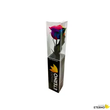 

Mundo eternal Rosa Eterna preserved 35cm Multicolored