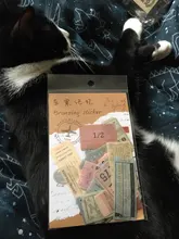 Paper-Sticker Stamp Label Scrapbooking Journal-Decoration Bullet Ticket-Plant Retro Golden