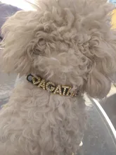 DIY Bling Personalized Dog Collar Rhinestones Leather Free Name Small Medium Pet