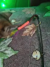 Varita de pompón para gato, Varita divertida para gato, juguetes interactivos para el hogar, animales, gatos, entretenimiento