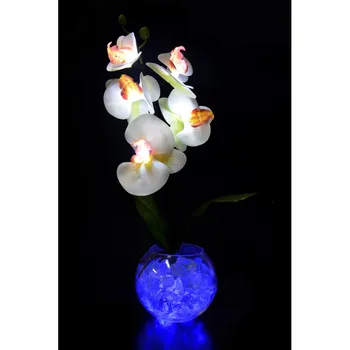 

Orchid lamp белооранжевая (blue) 5 flowers