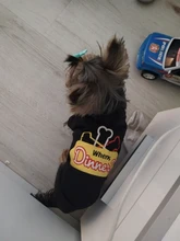 Camiseta transpirable de verano para perro, chaleco de dibujos animados para mascota, disfraces de Bulldog Francés, Chihuahua, abrigo para perro pequeño y mediano