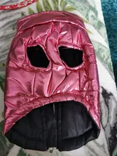 Coat Jacket Vest Bulldog-Clothing Puppy Dogs-Chihuahua French Waterproof Large Winter