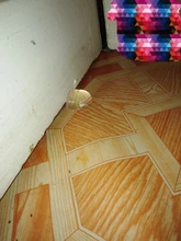 Tope de puerta autoadhesivo, anticolisión, Tope de puerta para casa y oficina, protección de paredes y muebles