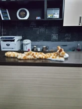 Peluche suave de cebra con sonido de tigre para mascotas, juguete para mascotas