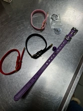 Collar de gato flocado para gatitos y mascotas, suministros