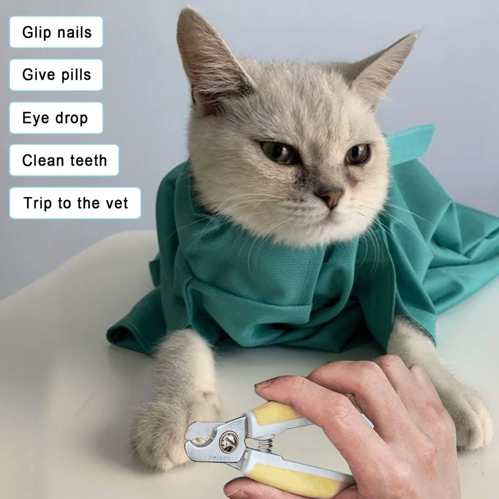 71OtXqWV50L._AC_SL1500_