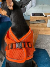 Reflectante cachorro gato arnés chaleco caminar perro ajustable Collar de gatito de malla de poliéster arnés para pequeño mediano perros