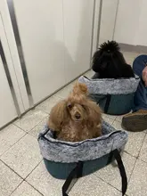 Dog-Bag Cat-Carrier-Bag Travel Puppy Outdoor Plush Soft Cozy Classic