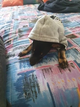 Sudadera con capucha para Perro, Ropa de invierno para mascotas, abrigo, Chaqueta de algodón, Ropa para Bulldog Francés