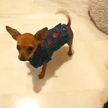 Coat Vest Jeans Puppy-Clothing Jacket Dog Pet-Dog Cowboy Denim XS-2XL for Small Dogs