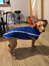 MySudui Medium Big Dog Winter Clothes For Dogs Pets Clothing Reflective Dog Jackets Outdoor