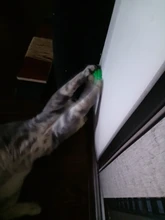 Natural Catnip Toys For Cats Crazy Healthy Cat Toys For Kitten Edible Treating Cleaning