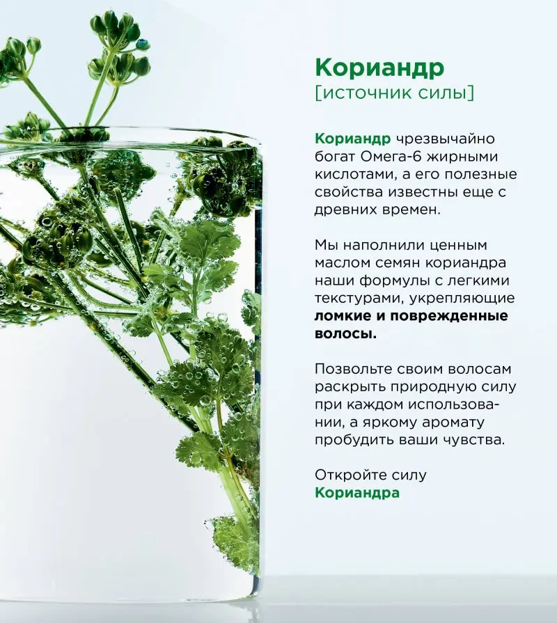 L'Oreal Paris Бальзам для волос "Botanicals, Кориандр", для ломких волос, укрепляющий, 200 мл