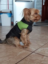 Jacket Yorkshire Terrier Padded-Coat Pet-Dog-Clothes Winter for Pitbull Chihuahua Warm