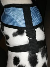 Arnés para mascotas pequeñas, chaleco para cachorros y gatos, Collar para Chihuahua, Pug, Bulldog, arnes para perros, envío gratis