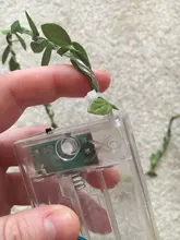 Tiny leaf garland fairy light decor LED Copper Wire string lights for Wedding forest